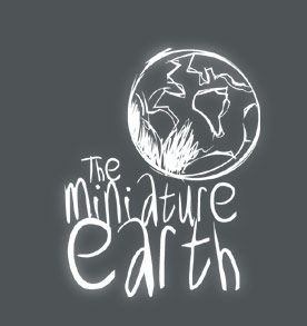 The Miniature Earth
