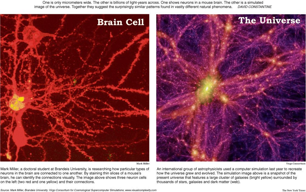 font: http://www.nytimes.com/imagepages/2006/08/14/science/20060815_SCILL_GRAPHIC.html